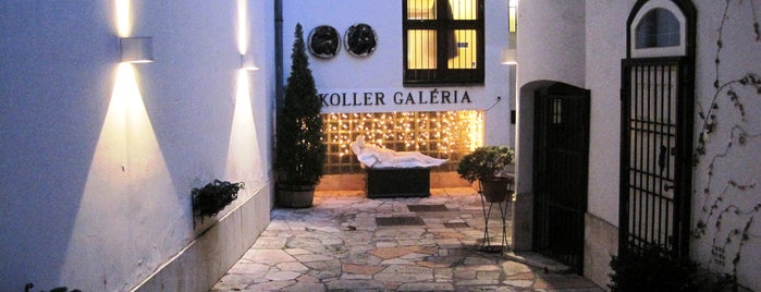 Koller Gallery is one of Budapest.