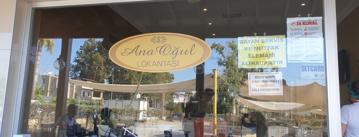 Ana Oğul Turgutreis is one of สถานที่ที่ Pınar ถูกใจ.