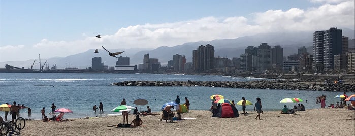 Playa Las Almejas is one of usuales.