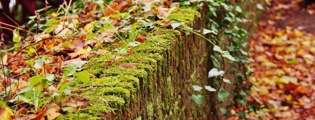 Minnewaterpark is one of Belgium.