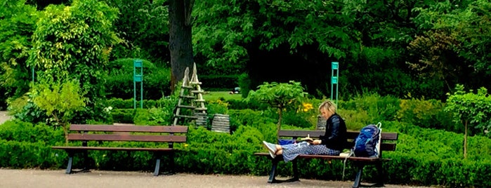Jardin de l'Arquebuse is one of Dijon : parcs, jardins....