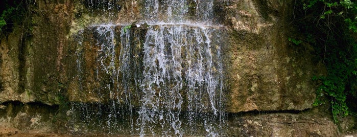 Parc des Carrières Bacquin is one of Dijon.