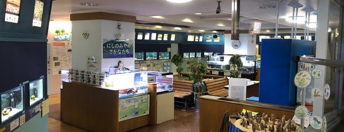 西宮市環境学習サポートセンター is one of 日本の水族館 Aquariums in Japan.