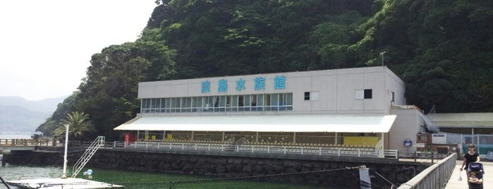 あわしまマリンパーク is one of 水族館（らしきものも含む）.