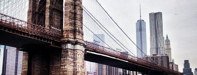 Brooklyn Bridge is one of New York bitches.