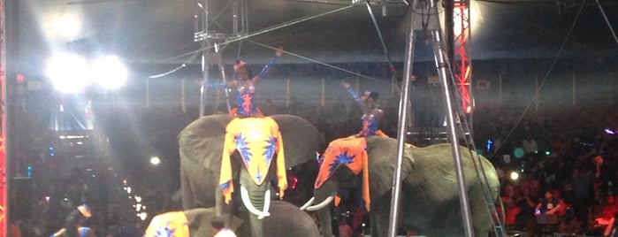 Universoul Circus is one of Lulu'nun Beğendiği Mekanlar.