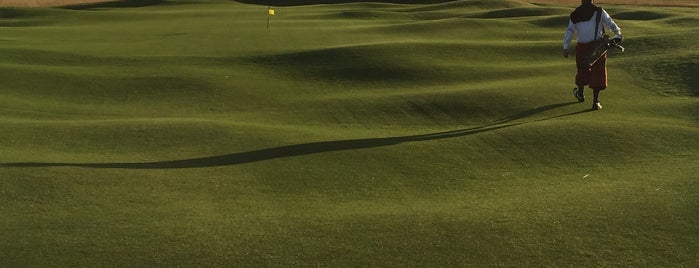 The Royal Dublin Golf Club is one of Tero'nun Beğendiği Mekanlar.