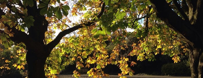 Herbert Park is one of Dublin.