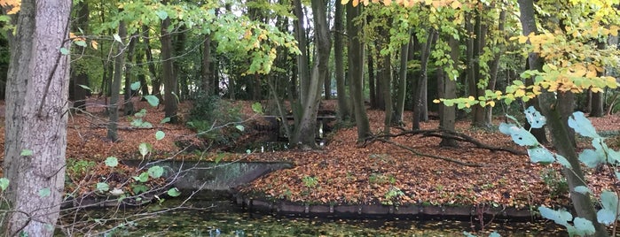 Leidse Hout is one of Tero’s Liked Places.