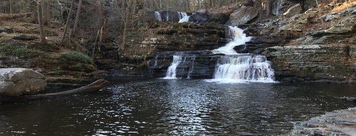 Childs Park is one of BEST OF: Stokes State Forest & Swartswood.