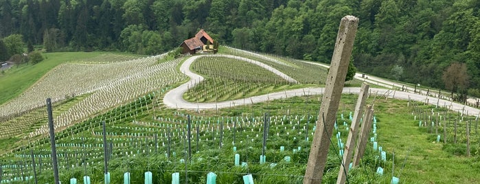 Turistična kmetija Dreisiebner is one of Slovenia.