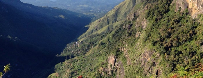 Horton Plains National Park is one of ASIA - India - To Do.