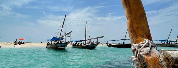 Blue Safari is one of Zanzibar.