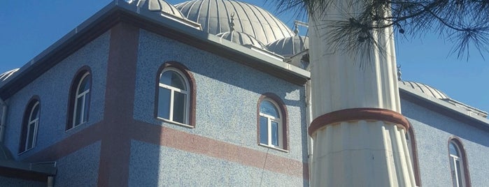 Nuri - Havva Avcı Camii is one of 🌜🌟🌟hakan🌟🌟🌛 : понравившиеся места.