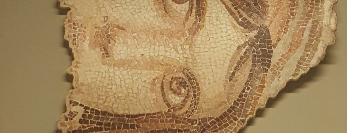 Zeugma Mozaik Müzesi is one of 🌜🌟🌟🌟hakan🌟🌟🌟🌛'ın Beğendiği Mekanlar.