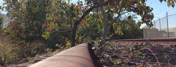 Abandoned Railroad Tracks