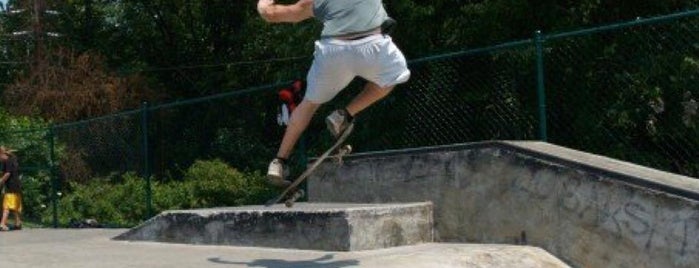 Wethersfield skateparek is one of Skeet Skeet.