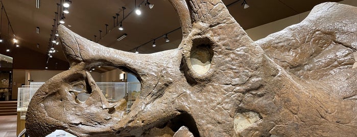 Dickinson Museum Center & Badlands Dinosaur Museum is one of South and North Dakota.