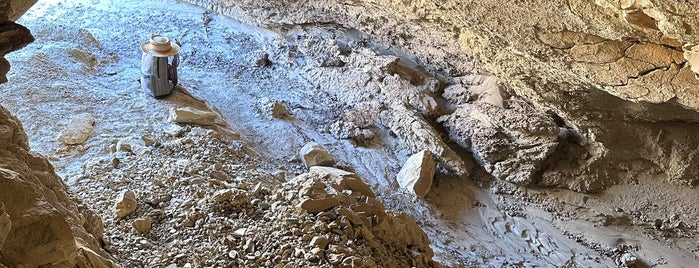 Bisti/De-Na-Zin Wilderness BLM is one of NM.