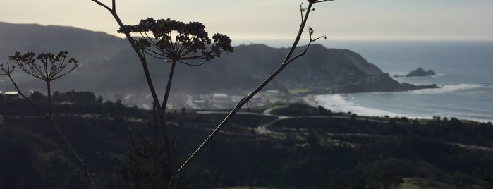 Farrallones View Trail is one of Best of Pacifica Hiking.