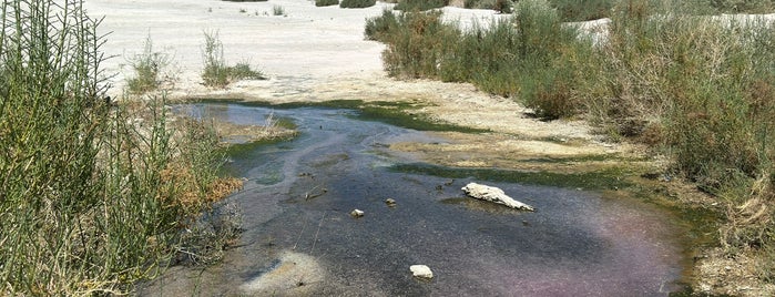 Salton Sea Visitor Center is one of LA LA.