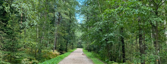 Pirkkolan Pururata is one of Other parks and natural attractions.