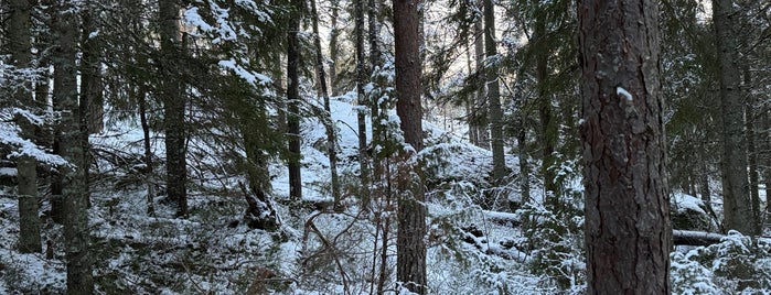 Nuuksion kansallispuisto is one of Vielä kokeiltavat paikat.