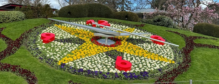 The Flower Clock is one of MrBoroughs | Top Spots | Geneva.