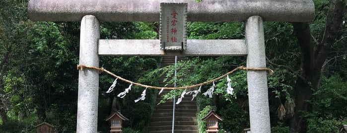 愛宕神社古墳 is one of 史跡・名勝・天然記念物.