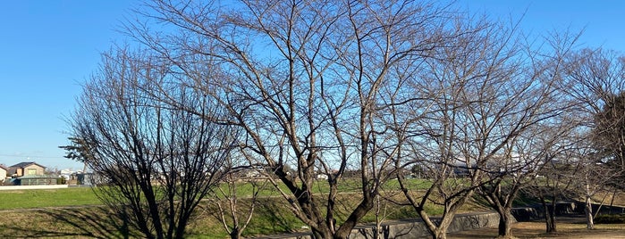 ふじみ野市運動公園 is one of 公園_埼玉県.