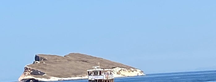 Delphin Tekne Turu is one of Foça.
