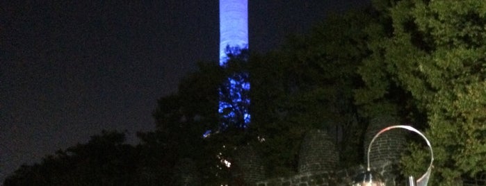 N Seoul Tower is one of Ugur Kagan : понравившиеся места.