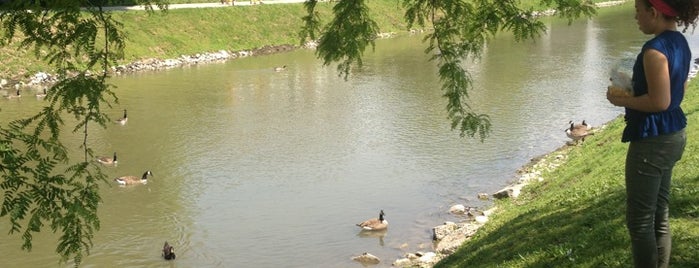 The Canal In Broadripple is one of Other Outings and Places.