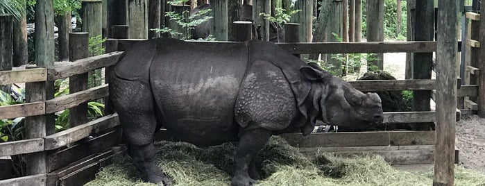 Asian Gardens Rhino Reserve is one of สถานที่ที่ Justin ถูกใจ.