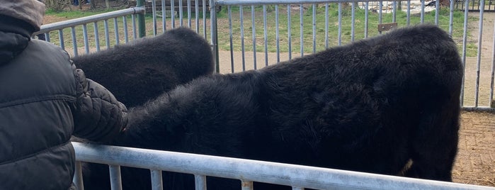 Kinderboerderij Westerpark is one of Ronaldさんのお気に入りスポット.