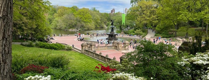 Central Park Bike Tours is one of New York.