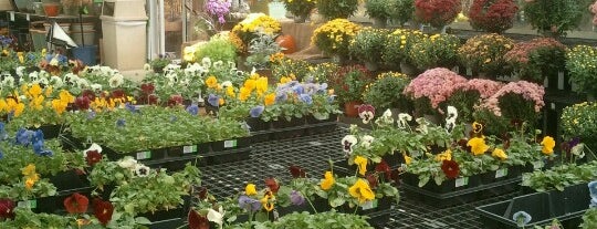 Wedel's Nursery, Florist and Garden Center is one of Lugares favoritos de Brenna.
