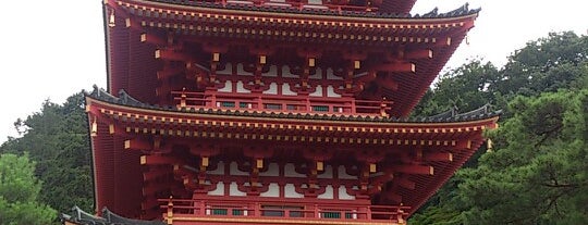 金剛寺 is one of 神社仏閣.