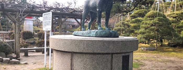 忠犬タマ公像 is one of 神社仏閣.