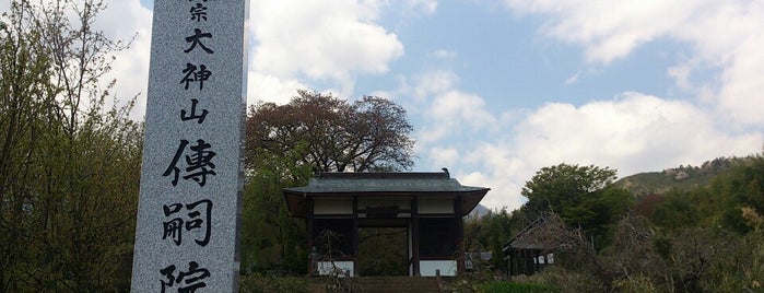 伝嗣院 is one of 神社仏閣.