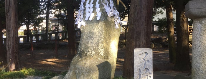 浅間神社 子持石 is one of 神社仏閣.
