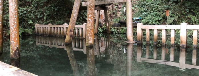Mitarashi Pond is one of 神社仏閣.