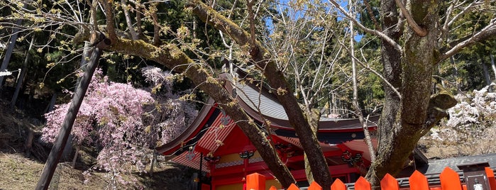 鬱金桜 is one of 行きたい.