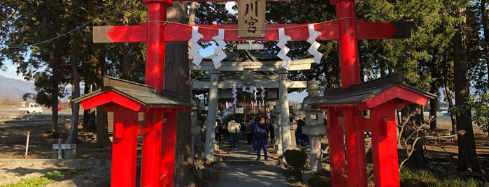 飛川神社 is one of 神社仏閣.