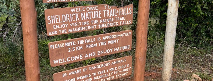 Sheldrick Falls is one of Top Outdoor spots.