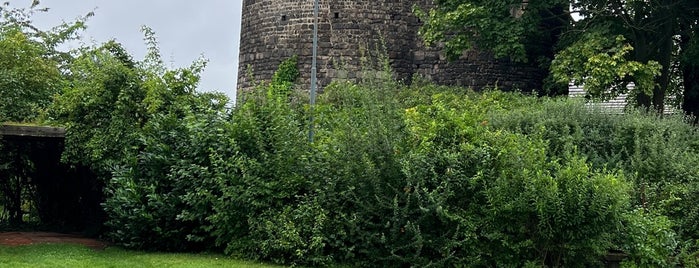 Hrad Týnec nad Sázavou is one of Tempat yang Disukai Typena.