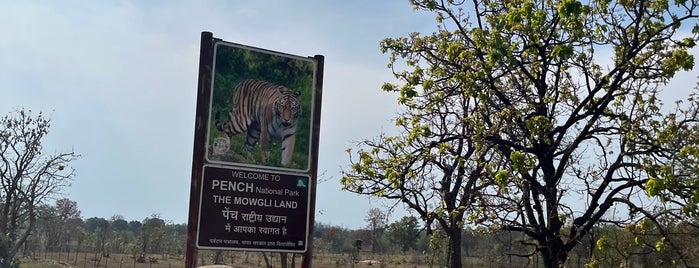 Pench National Park is one of India.