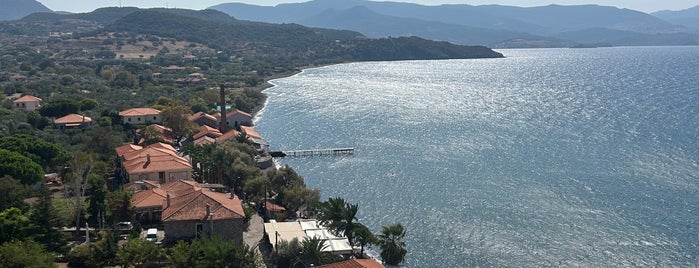 Blue Fox is one of 🇬🇷 Lesvos Island.