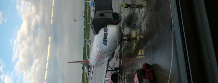 LOT Polish Airlines Flight LO265 WAW-AMS is one of Lotnisko/Airport.