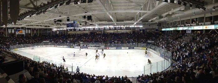 Whittemore Center Arena is one of College Hockey Rinks.